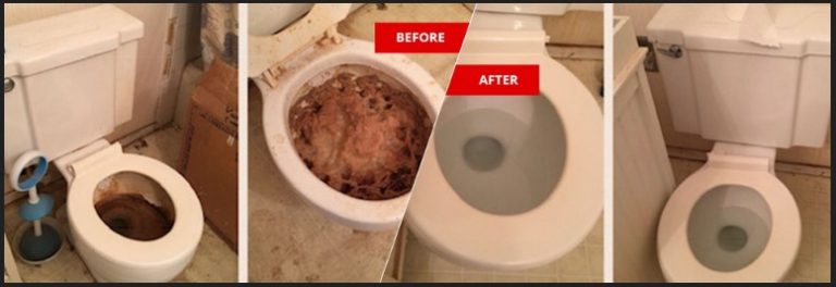 Urine Cleanup Service: Pet Stain and Pet Odor Removal Made Easy