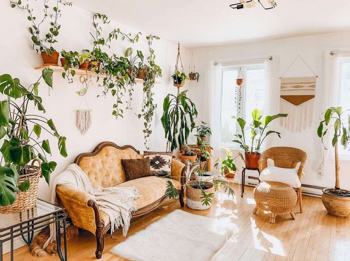 Green Indoors: Creating Your Own DIY Indoor Garden