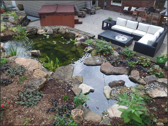 Serene Waters: Designing Koi Pond Ideas for Relaxing Backyards