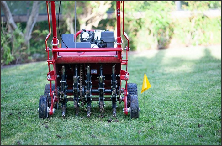 Walk on Air: Navigating the Benefits of Aerator Sandals for Lawns