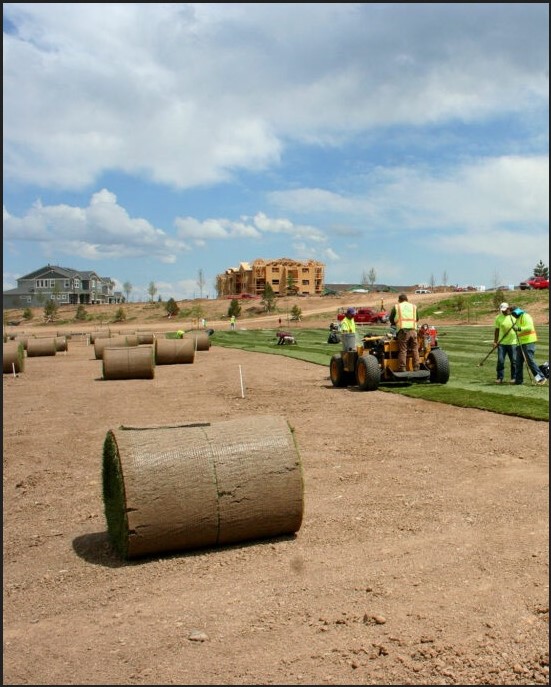 Enhancing Denver Landscapes: Expert Sod Installation for Commercial and Residential Projects